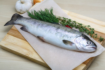 Raw trout
