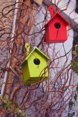 Two colorful wooden birdhouses on a tree