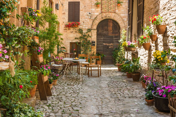 Ingresso romantico casa con mobili da giardino e vasi di fiori