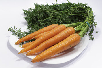 Fresh carrots from organic production