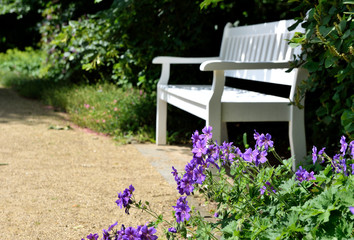 Bench in the park blurr