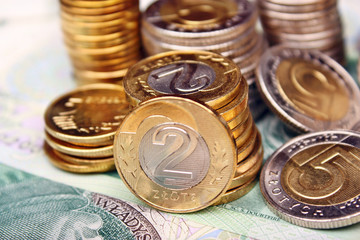 Polish money