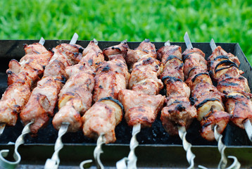 Grilled Kebabs, skewers