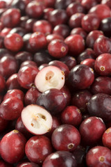 cranberry