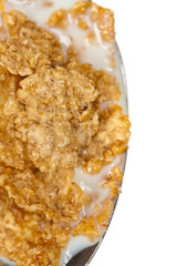 A spoon of breakfast cereal. Macro. Selective focus.