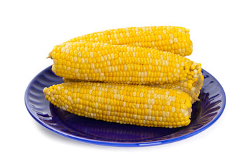 Corn on white background. Selective soft focus.