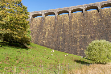 The Claerwen Dam, field in foreground