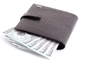 isolated money in new black leather purse, wallet
