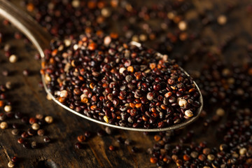 Raw Organic Black Quinoa