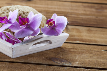 Fototapeta na wymiar beauty ritual for spa treatment with natural sponge, flowers and massage accessory