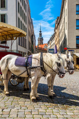 Horse carriages in Dresden, Germany