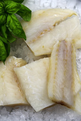 Fresh Fish Fillets