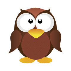 Cute owl