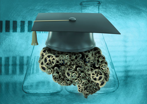 Gradua&ccedil;&atilde;o Cient&iacute;fica