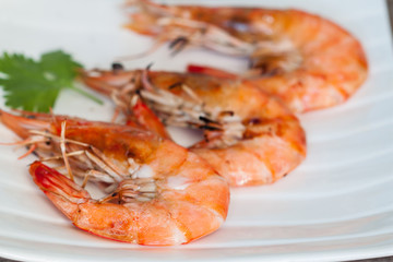 Shrimp on white plate