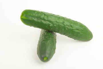greenhouse cucumbers 
