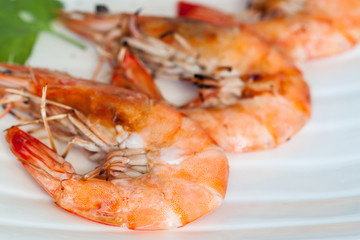 Shrimp on white plate
