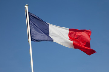 Naklejka na ściany i meble drapeau francais