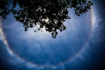 solar corona