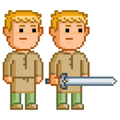 Pixel elf hero with a sword