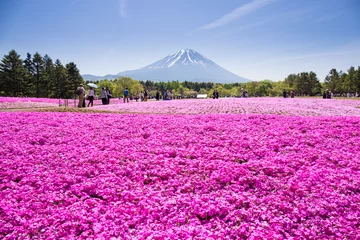Fotobehang NASHIYAMA, JAPAN-11 MEI. 2015: Mensen uit Tokio en andere steden of internationale steden komen elk jaar naar de berg Fuji en genieten van de kersenbloesem in de lente. De berg Fuji is de hoogste berg van Japan. © powerbeephoto