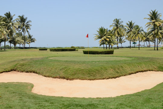Golf field