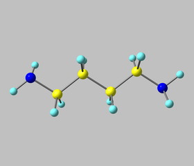 Fototapeta premium Putrescine molecule isolated on grey