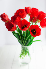 Red tulips closeup on white