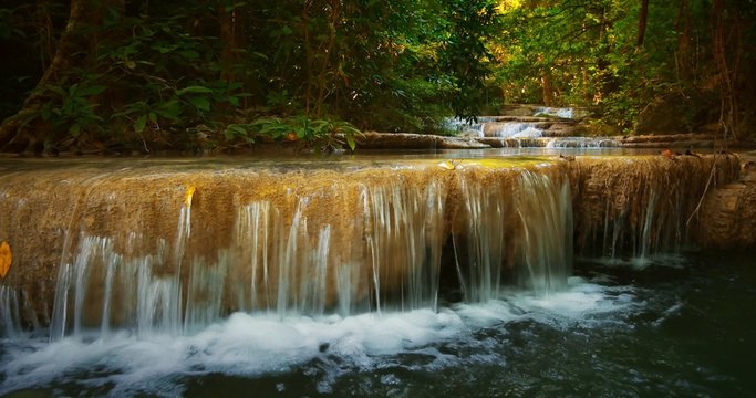 Exotic nature of tropical rainforest in Thailand jungle forest. Beautiful place
