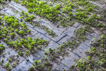 Living Tiles
