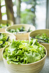 lettuce salad leaves in bowls in restaurant display