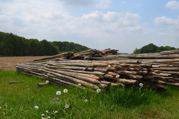 Pile of wooden poles for agricultural fence