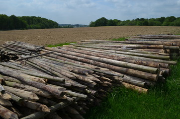 Pile of wooden poles for agricultural fence