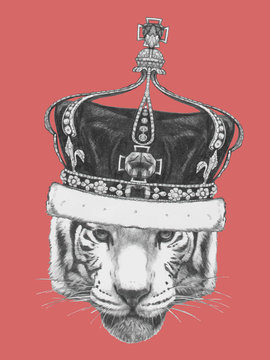 Hand drawn portrait of Tiger with crown. Vector
