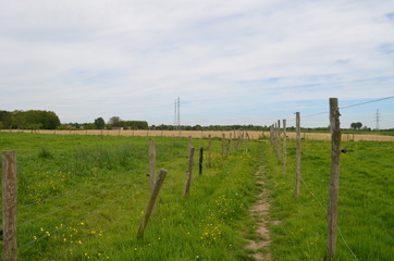 Small path lined by fence in rural area