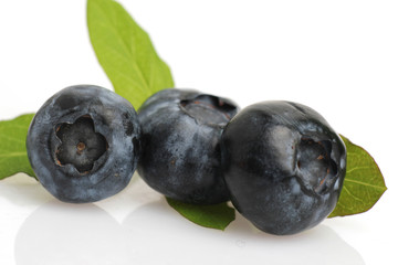 Blueberries isolated on white background