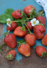 Fresh and juicy strawberries 