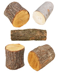 set log fire wood  isolated on white background with, oak and beech