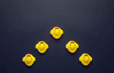 Yellow rubber ducks
