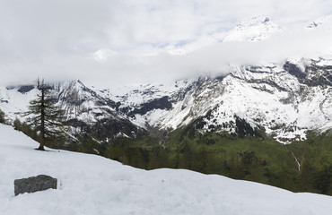 Fototapeta na wymiar snow-capped Alps