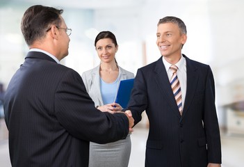 Fototapeta premium Interview, Job Interview, Handshake.