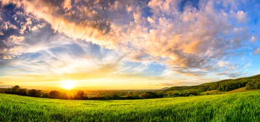 Poster Im Rahmen Panorama eines bunten Sonnenuntergangs auf einer grünen Wiese © Smileus