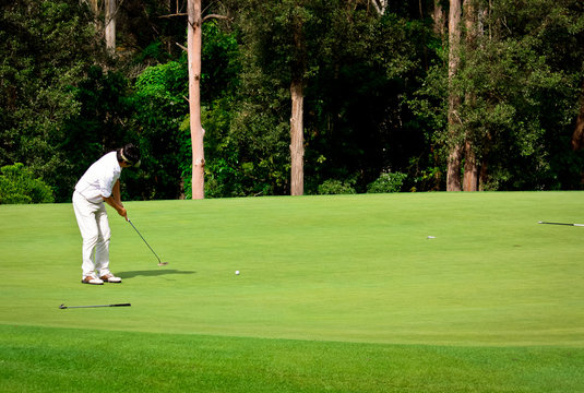 Golfer putting on green with backdrop of trees