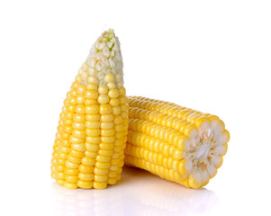 corn isolated on the white background
