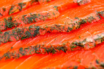 Frischer Lachs | Wildlachs