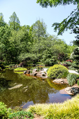 Lake in Green Japanese Garden