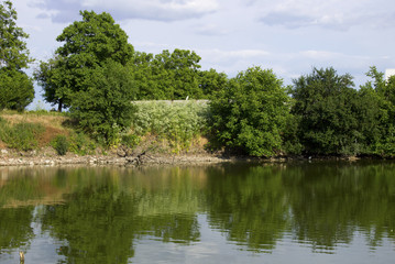 Fototapeta premium Summer landscape with lake and blue sky