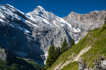 Fototapeta na wymiar Mountain landscape - Switzerland Alps