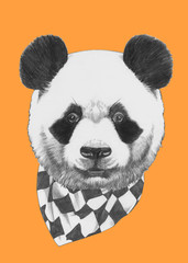 Hand drawn portrait of Panda with scarf. Vector isolated elements.