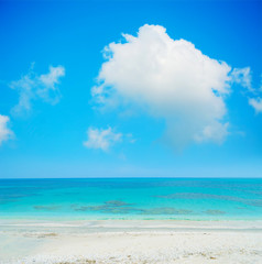 white sand and turquoise water